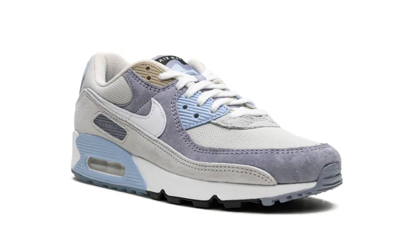 Nike Air Max Air Max 90 'Ashen Slate'